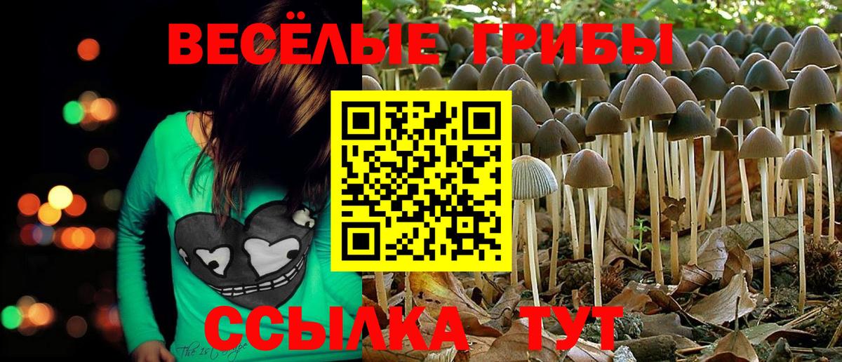 Галлюциногенные грибы мицелий Лабытнанги